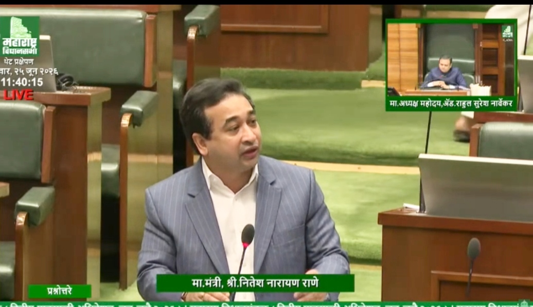 कोकणातील आंबा- काजू नुकसानीबाबत एनडीआरएफच्या निकषांपलीकडे जाऊन मदत देण्याची सरकारची तयारी