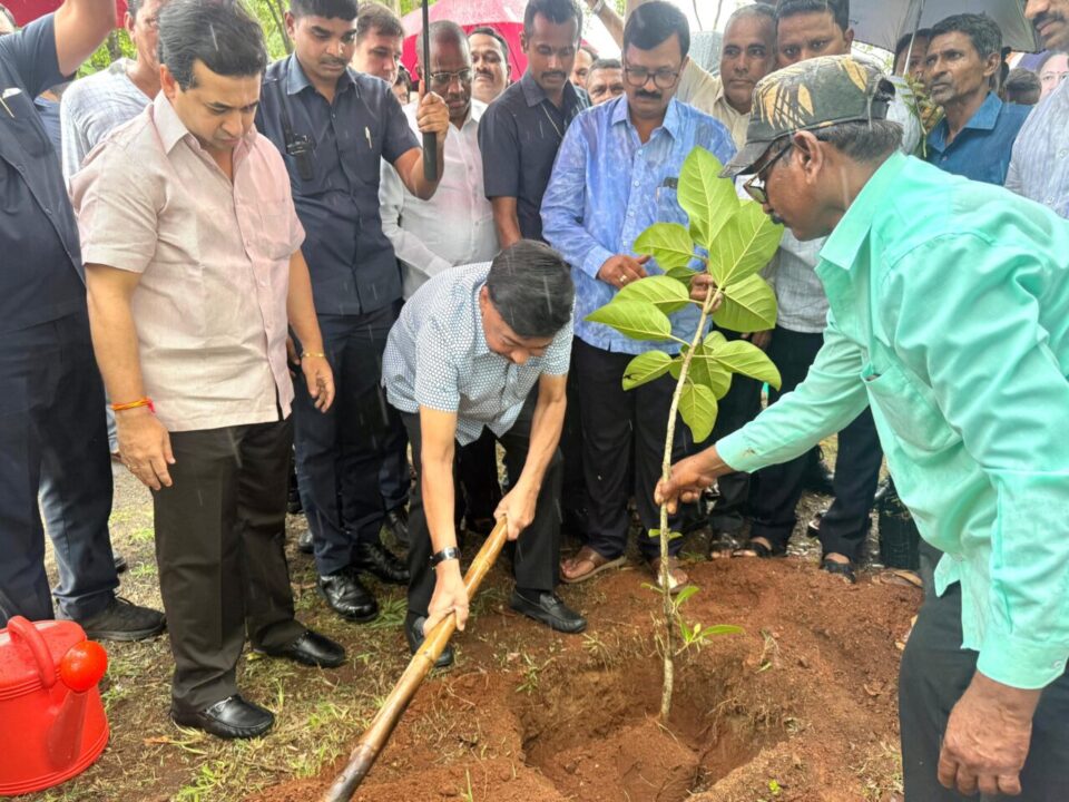 खा. नारायण राणे यांच्या अमृत महोत्सवी वर्षानिमित्त हरकुळ बुद्रुकमध्ये वृक्षारोपण