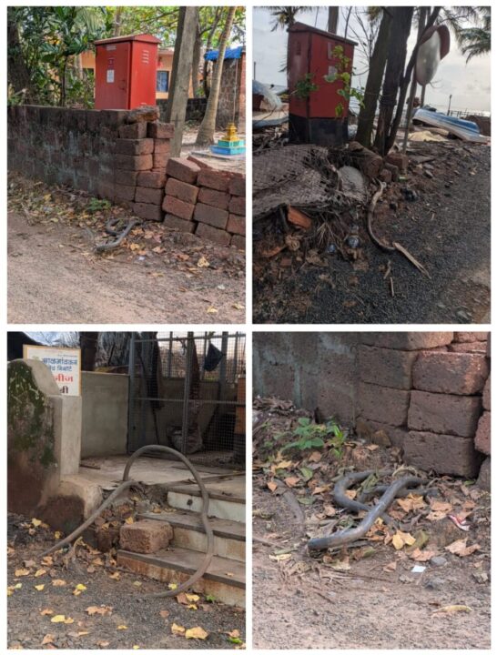 देवबागात भूमिगत वीज वाहिनीची केबल खड्ड्याबाहेर