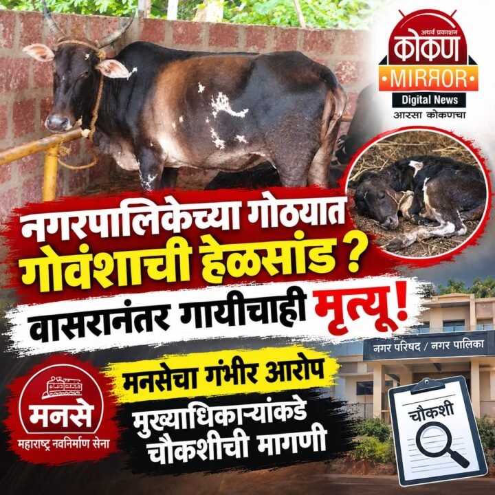 नगरपालिकेच्या ताब्यातील गोवंशाच्या देखभालीवर गंभीर प्रश्न!