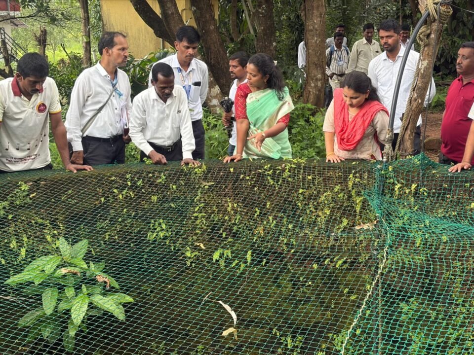 पावसाने दडी मारली; जिल्हाधिकारी थेट शेतकऱ्यांच्या बांधावर…!