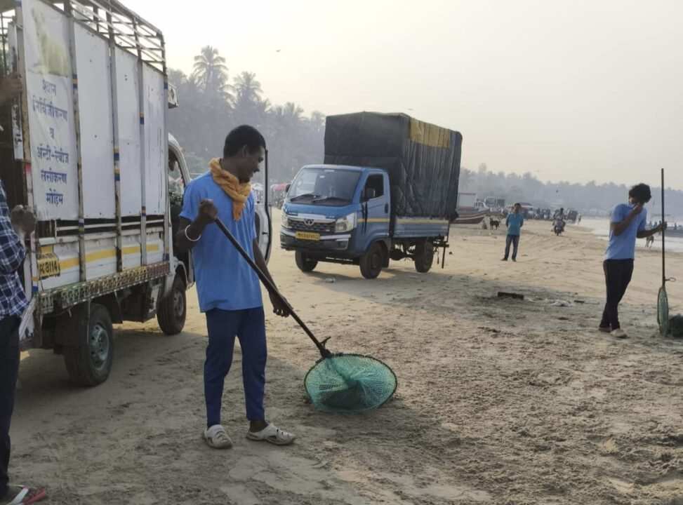 मालवणात मोकाट श्वानांच्या निर्बिजीकरण मोहिमेला सुरुवात